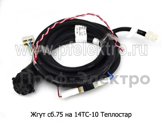 Жгут сб.75 foto-1