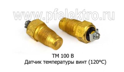 ТМ 100 В foto-prevyu
