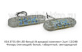 014.3731-09 LED белый (9 диодов) (к-т 2шт) 12/24В foto-3