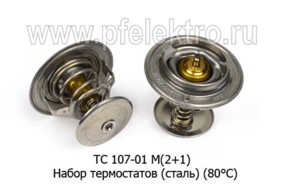 ТС 107-01 М (2+1) foto-prevyu
