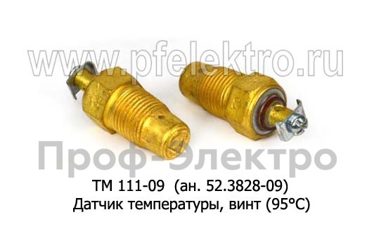 ТМ 111-09 (ан. 52.3828-09) foto-1