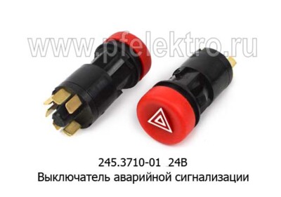 245.3710-01 24В foto-prevyu