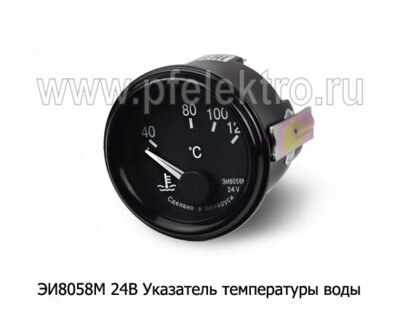 ЭИ8058М 24В foto-prevyu