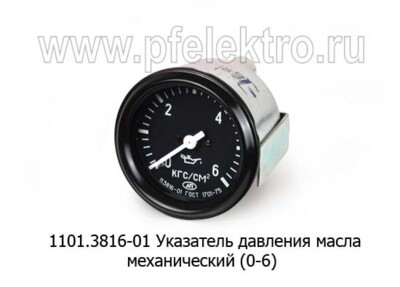 1101.3816-01 foto-prevyu