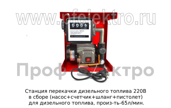 Станция перекачки дизельного топлива 220В foto-2