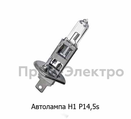 H1 24V 70W (P14.5s) foto-2