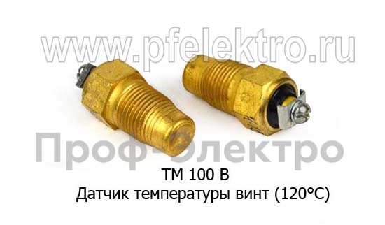 ТМ 100 В foto-1