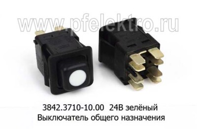 3842.3710-10.00М  24В foto-prevyu