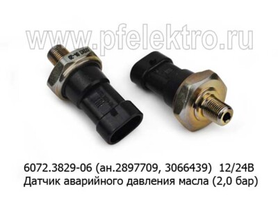 6072.3829-06 (2,0 бар) (ан. 2897709, 3066439) 12/24В foto-prevyu