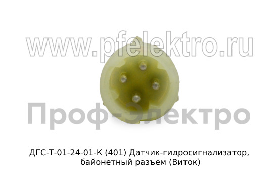 ДГС-Т-01-24-01-К (401) foto-2
