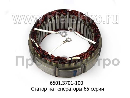 6501.3701-100 foto-1