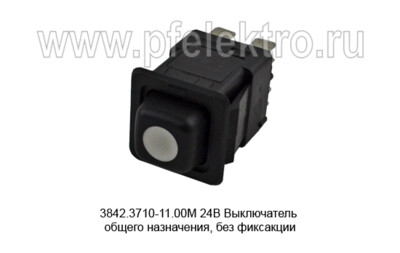 3842.3710-11.00М  24В foto-prevyu